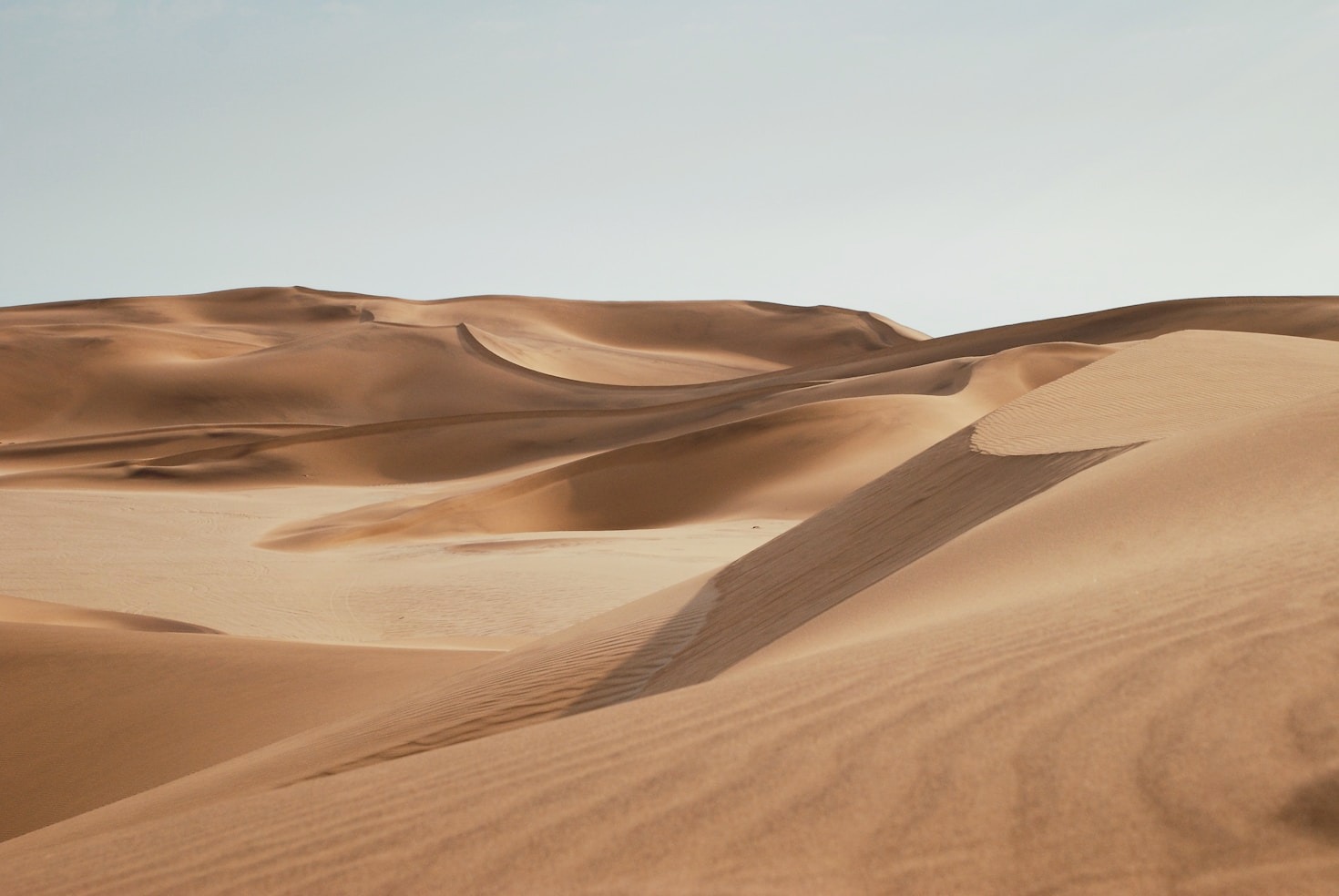 Luxury and Adventure: The Emirates Experience