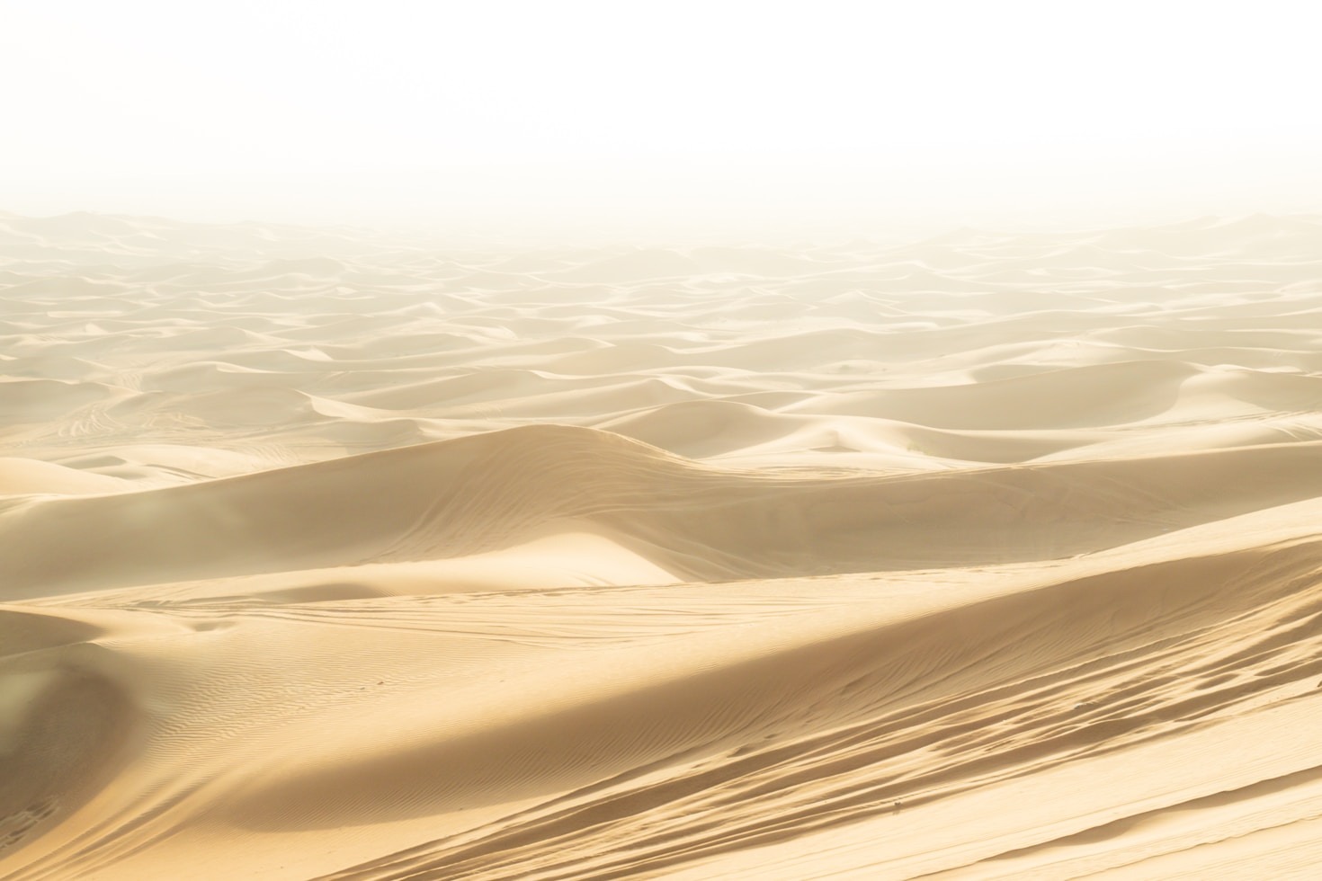 The Architectural Marvels of the Emirates