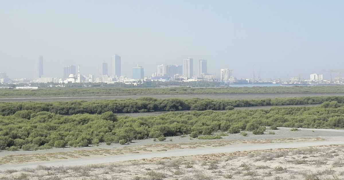 Explore Umm Al Quwain Tour Nature, Culture & Relaxation